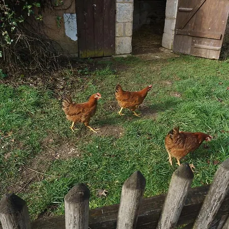 Séjour chez l'habitant D'hôte En Dordogne Beauronne